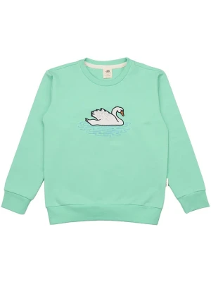 Walkiddy Bluza w kolorze zielonym rozmiar: 116