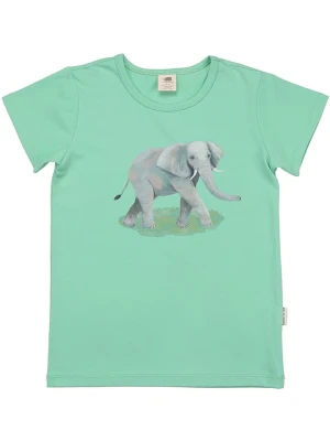 Walkiddy Koszulka w kolorze zielonym rozmiar: 134