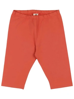 Walkiddy Legginsy w kolorze pomarańczowym rozmiar: 116