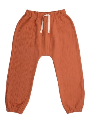 Walkiddy Spodnie dresowe w kolorze jasnobrązowym rozmiar: 116