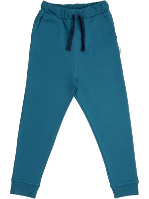 Walkiddy Spodnie dresowe w kolorze niebieskim rozmiar: 152