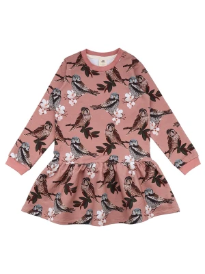 Walkiddy Sukienka dresowa "Owl Friends" w kolorze jasnoróżowym rozmiar: 116