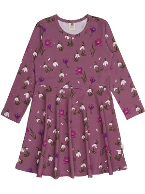 Walkiddy Sukienka w kolorze fioletowym rozmiar: 116