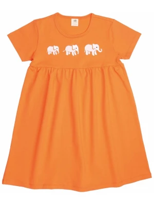 Walkiddy Sukienka w kolorze pomarańczowym rozmiar: 140