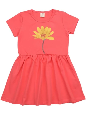 Walkiddy Sukienka w kolorze różowym rozmiar: 128