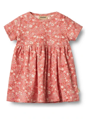 Wheat Sukienka "Nova" w kolorze kremowo-pomarańczowym rozmiar: 92