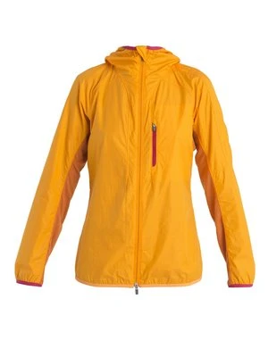 Wiatrówka Icebreaker