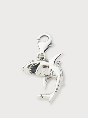 Wisiorek Thomas Sabo srebrny