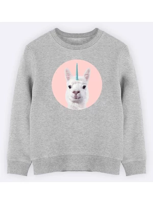 WOOOP Bluza "Alpaca Unicorn" w kolorze szarym rozmiar: 140