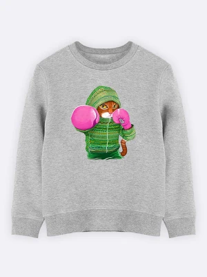 WOOOP Bluza "Boxing Cat Ginger" w kolorze szarym rozmiar: 140