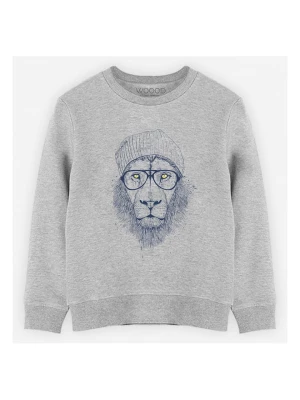 WOOOP Bluza "Cool lion" w kolorze szarym rozmiar: 152