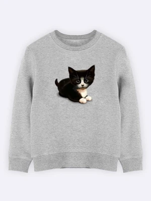 WOOOP Bluza "Cute cat" w kolorze szarym rozmiar: 152