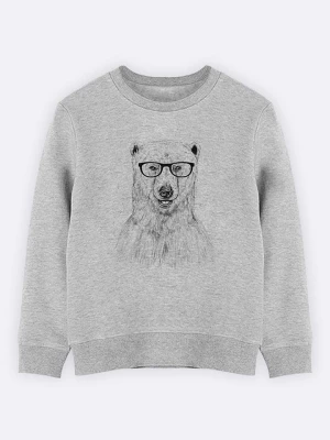 WOOOP Bluza "Geek Bear" w kolorze szarym rozmiar: 128