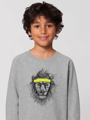 WOOOP Bluza "Hipster Lion" w kolorze szarym rozmiar: 152