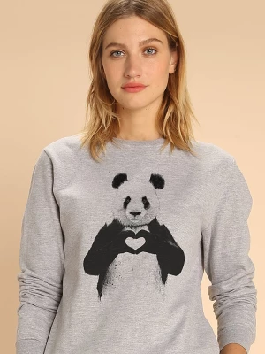 WOOOP Bluza "Love Panda" w kolorze szarym rozmiar: S