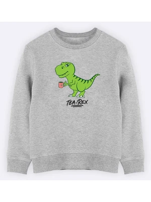 WOOOP Bluza "Tea rex" w kolorze szarym rozmiar: 128