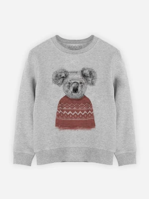 WOOOP Bluza "Winter Koala" w kolorze szarym rozmiar: 128