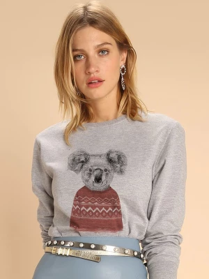 WOOOP Bluza "Winter Koala" w kolorze szarym rozmiar: S