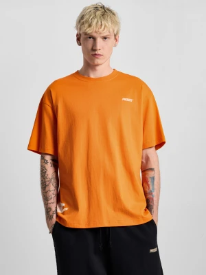 WTS Puffin T-shirt oversize bawełniany męski pomarańczowy PROSTO.