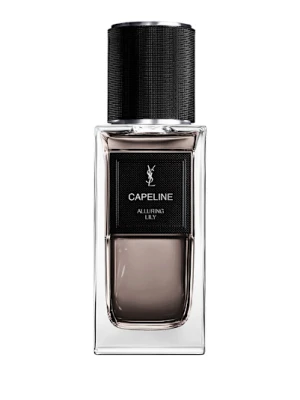 Ysl - Le Vestiaire Des Parfums Capeline