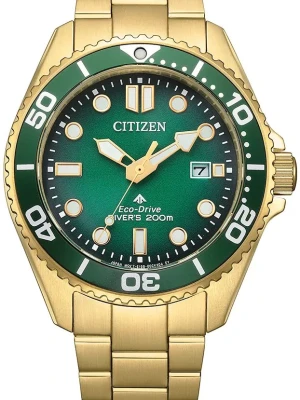 Zegarek Męski CITIZEN Marine Diver Promaster BN0262-59W