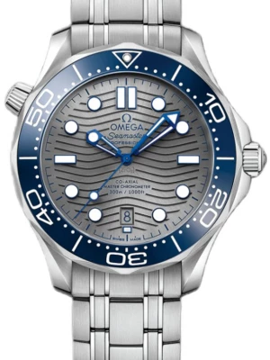 Zegarek Męski OMEGA Seamaster 210.30.42.20.06.001