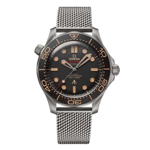 Zegarek Męski OMEGA Seamaster 210.90.42.20.01.001