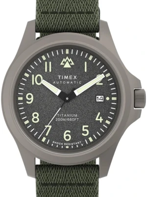 Zegarek Męski TIMEX Expedition TW2V95300