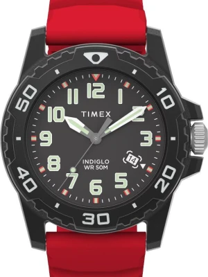 Zegarek Męski TIMEX Main Street