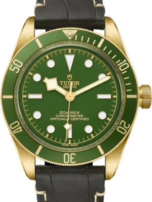 W.KRUK TUDOR BLACK BAY 59 18K