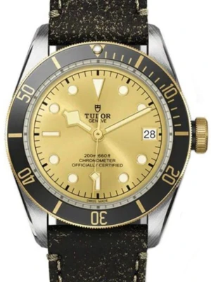 W.KRUK TUDOR BLACK BAY S&G