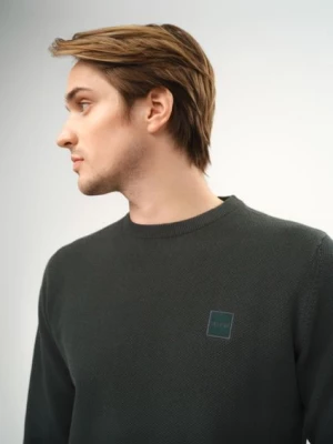 Zielony bawełniany sweter męski z logo OCHNIK
